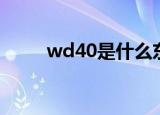 wd40是什么东西（wd40的解释）