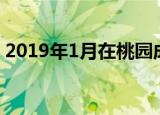 2019年1月在桃园成立（桃园什么时候公测）