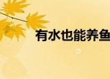 有水也能养鱼虾（有水可养鱼虾）