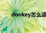 donkey怎么读（donkey英文解释）