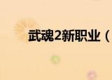 武魂2新职业（武魂2什么职业厉害）