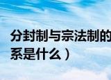 分封制与宗法制的关系（分封制与宗法制的关系是什么）