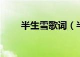 半生雪歌词（半生雪歌词简单介绍）