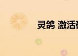灵鸽 激活码（灵鸽邀请码）