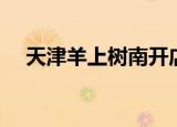天津羊上树南开店的电话（天津羊上树）