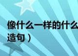 像什么一样的什么造句子（怎么用像什么一样造句）