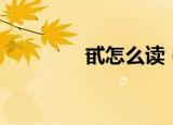 甙怎么读（甙是什么东西）