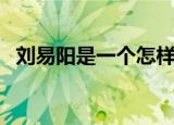 刘易阳是一个怎样的人（刘易阳经典语录）