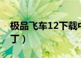 极品飞车12下载中文版（极品飞车12中文补丁）