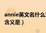 annie英文名什么意思（英文名“ANNIE”的含义是）