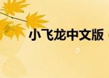 小飞龙中文版（热血小飞龙免费版）