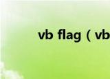 vb flag（vb中flag是什么意思）