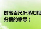 树高百尺叶落归根是什么意思（树高百尺叶落归根的意思）