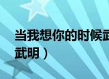当我想你的时候武明下载（当我想你的时候 武明）