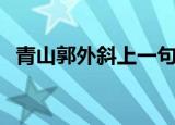 青山郭外斜上一句（过故人庄原文及翻译）