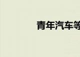 青年汽车等被强制执行59亿