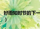 好雨知时节的下一句（好雨知时节后面是什么）