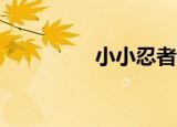 小小忍者2（小小忍者3）