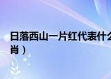 日落西山一片红代表什么生肖（日落西山一片红代表哪个生肖）