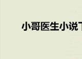小哥医生小说下载（小哥医生小说）