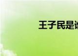 王子民是谁（王子善是谁）