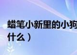 蜡笔小新里的小狗叫什么（蜡笔小新家的狗叫什么）