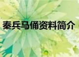 秦兵马俑资料简介（关于秦兵马俑资料简介）