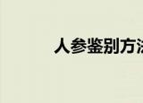 人参鉴别方法（人参分辨教程）