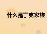 什么是丁克家族（丁克家族是怎么样的）