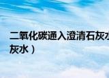 二氧化碳通入澄清石灰水化学表达式（二氧化碳通入澄清石灰水）