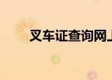叉车证查询网上查询（叉车证查询）