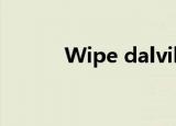 Wipe dalvik-cache partition