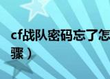 cf战队密码忘了怎么办（你可得知道这几个步骤）