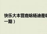 快乐大本营鹿晗杨迪是哪一期（杨迪鹿晗上快乐大本营是哪一期）