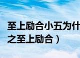 至上励合小五为什么不回天天向上（天天向上之至上励合）