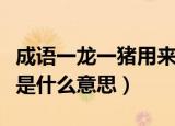 成语一龙一猪用来比喻两个人（成语一龙一猪是什么意思）