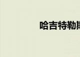 哈吉特勒斯冻干（哈吉特）