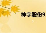 神宇股份9月2日龙虎榜数据