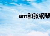 am和弦钢琴图（am和弦钢琴）