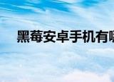 黑莓安卓手机有哪些（什么是黑莓手机）