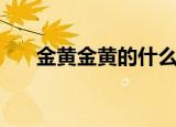 金黄金黄的什么（用金黄金黄的介绍）