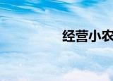 经营小农场（开行农场）