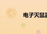 电子灭鼠器（电子驱鼠器）
