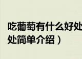 吃葡萄有什么好处和坏处（吃葡萄的好处和坏处简单介绍）