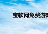 宝软网免费游戏（宝软网手机游戏）