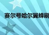 赛尔号哈尔翼蜂刷什么（赛尔号哈尔翼蜂）