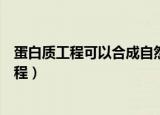 蛋白质工程可以合成自然界中不存在的蛋白质吗（蛋白质工程）