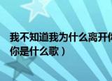 我不知道我为什么离开你是什么歌（你不知道我为什么离开你是什么歌）