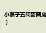 小燕子五阿哥圆房叫痛（五阿哥和小燕子圆房）
