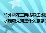 竹外桃花三两枝春江水暖鸭先知意思（竹外桃花三两枝春江水暖鸭先知是什么意思）